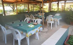 B & B Marcarius